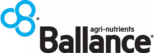 Ballance